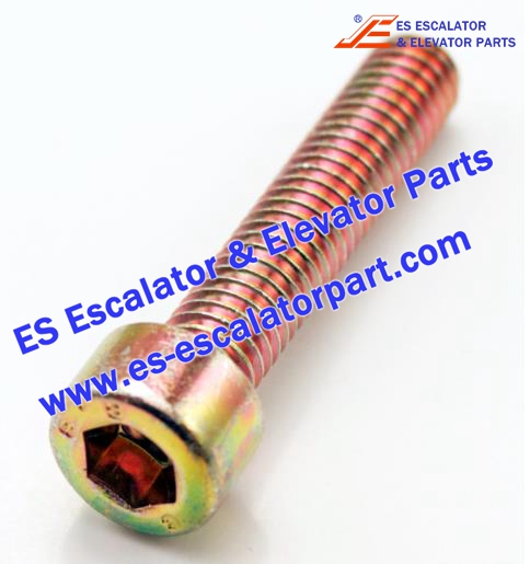 Escalator Parts M6x30 DIN912 Screw