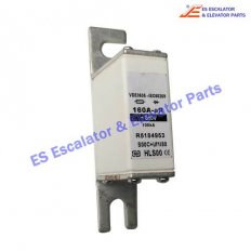 <b>Elevator R5184953 Fuse</b>