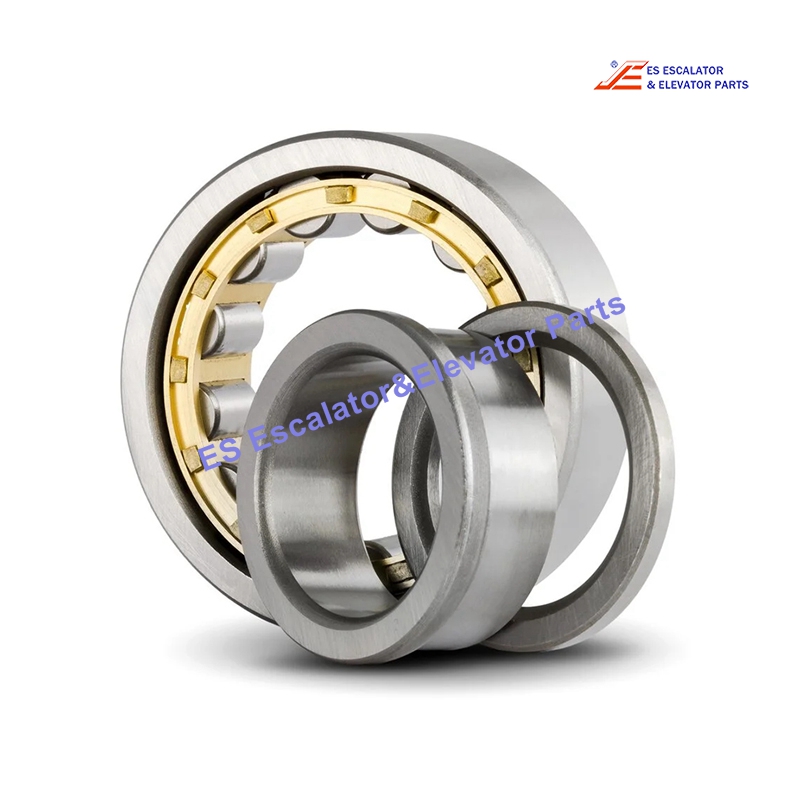 NUP308-C3-DIN5412 Elevator Bearing