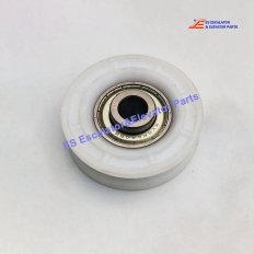 FI614087G01 Elevator Door Roller