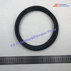 <b>3V-750 Elevator Belt</b>