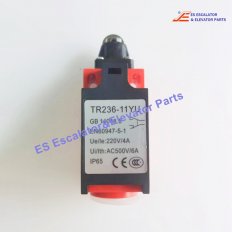 <b>TR236-11YU Elevator Limit Switch</b>