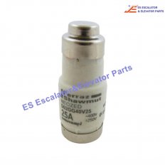 <b>D02GG40V25 Elevator Fuse</b>