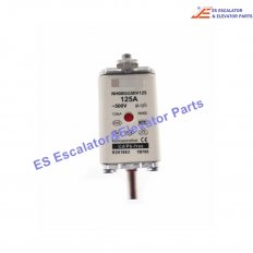 <b>NH00GG50V125 Elevator Fuse</b>