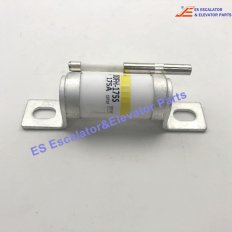 <b>1000FH-175S Elevator Fuse</b>